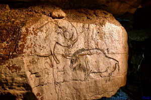 2019-05-28 Herault2 - grotte Abeil (24)