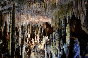 2019-05-28 Herault2 - grotte Abeil (29)