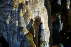 2019-05-28 Herault2 - grotte Abeil (30)