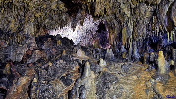 2019-05-28 Herault2 - grotte Abeil (31)