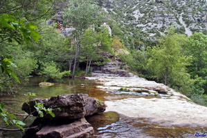2019-05-29 Herault1 - rando Cirque Navacelles (36)