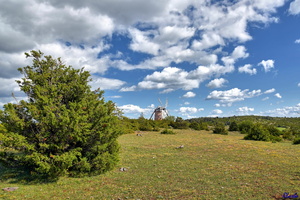 2019-05-29 Herault2 - La Couvertoirade (29)