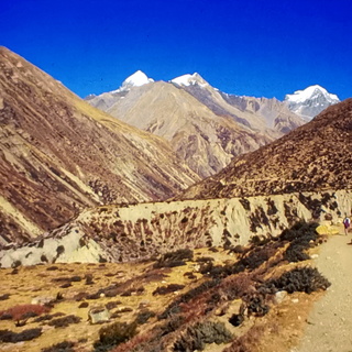 6 - Trek 14 et 15/11