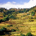 2001-11-07 Népal -Tour Annap 097.jpg