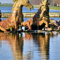 2020-01-16 Versailles Parc (02).jpg