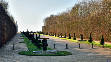2020-01-16 Versailles Parc (06)