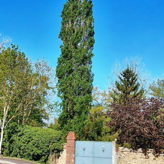 18/04 - St Georges Sur Eure