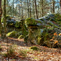 221-02-19 - Noisy - 3 Pignons (06)