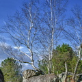 221-02-19 - Noisy - 3 Pignons (08)