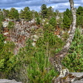 221-02-19 - Noisy - 3 Pignons (10)