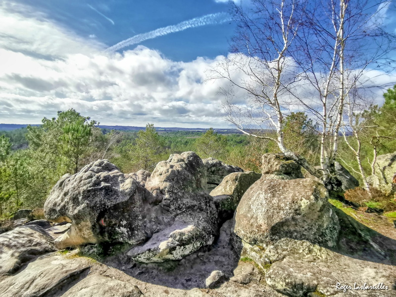221-02-19 - Noisy - 3 Pignons (10_2).jpg