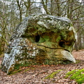221-02-19 - Noisy - 3 Pignons (11)