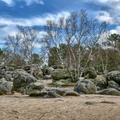 221-02-19 - Noisy - 3 Pignons (16)