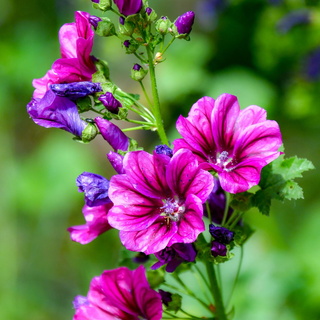 07 - Fontenay Sur Eure