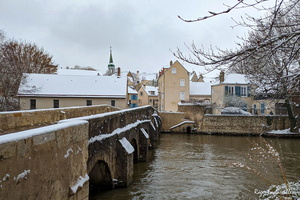 2024-01-09 - Chartres (7)