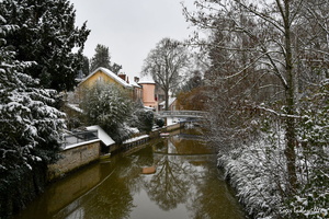 2024-01-09 - Chartres (2)