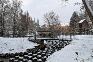 2024-01-09 - Chartres (6)