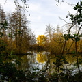 2024-03-21 - Ecluzelle (8)