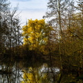 2024-03-21 - Ecluzelle (10)