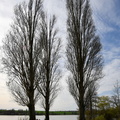 2024-03-21 - Ecluzelle (25)