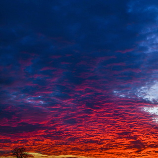 24/12 - Coucher de soleil vers Bailleau le Pin