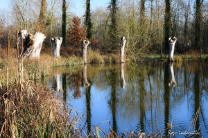 2024-12-27 - Barjouville (3)