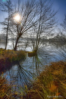 2024-12-27 - Barjouville (4)