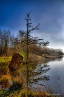 2024-12-27 - Barjouville (5)