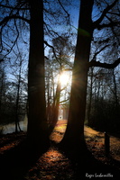 2024-12-27 - Barjouville (6)