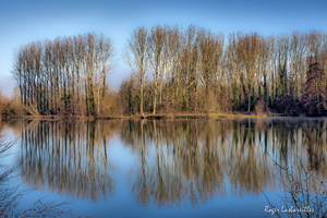 2024-12-27 - Barjouville (1)