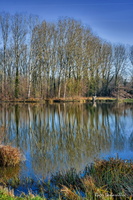 2024-12-27 - Barjouville (2)