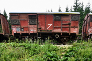 2025-07-21 - Vieux Trains (10)