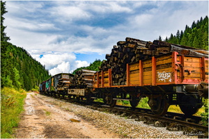 2025-07-21 - Vieux Trains (17)