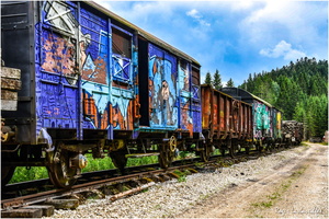 2025-07-21 - Vieux Trains (22)