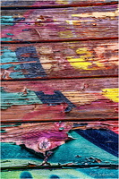 2025-07-21 - Vieux Trains (26)