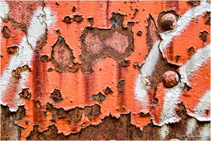 2025-07-21 - Vieux Trains (29)