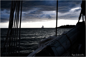 2025-06-14 - Granville - Chausey (48)