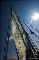 2025-06-14 - Granville - Chausey (4)