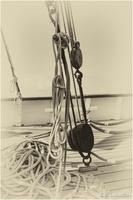 2025-06-14 - Granville - Chausey (17)