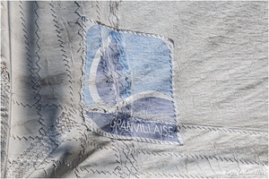 2025-06-14 - Granville - Chausey (18)