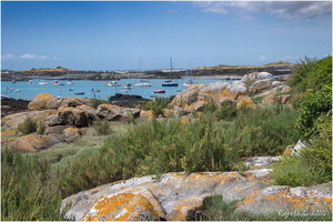 2025-06-14 - Granville - Chausey (30)