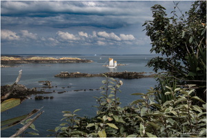 2025-06-14 - Granville - Chausey (41)