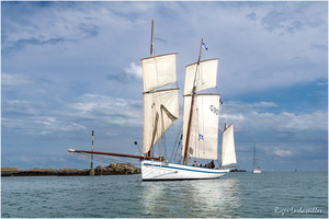 2025-06-14 - Granville - Chausey (42)