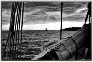 2025-06-14 - Granville - Chausey (47)