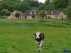 20090509 012 LaPerriere FR61 Ferme